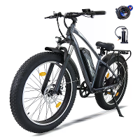 [EU DIRECT] A35 Elektrische Fiets 48V 13Ah 250W Motor 25km/u Maximale Snelheid 26 Inch Vetband 45 65km bereik 150KG Maxi