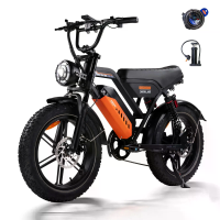 [EU DIRECT] A50 Off Road Elektrische Fiets 48V 15.6Ah 250W Motor 25 km/u Max Snelheid 20 Inch Fat Banden 120 km Max Bere