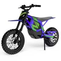 [EU DIRECT] APTUM AP 2C 1 Elektrische Dirt Bike 48V 20Ah Batterij 48V 2000W Piekmotor Aanbevolen Topsnelheid 25KM/H 14+1