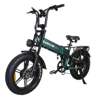 [EU DIRECT] BAOLUJIE D2 Elektrische Fiets, 48V 20Ah Batterij, 48V 1000W*2 Dual Motoren, Aanbevolen Topsnelheid 25KM/U, 2