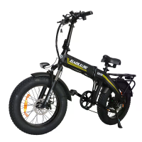 [EU DIRECT] BAOLUJIE D7 Elektrische Fiets 48V 16Ah Batterij 500W Motor Aanbevolen Topsnelheid 25KM/H 20inch Banden Spaak