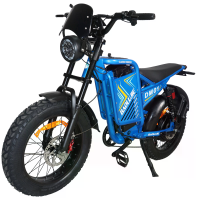 [EU DIRECT] BAOLUJIE DM 01 Elektrische fiets, 60V 25Ah accu, 60V 2000W motor, 3500W piekvermogen, aanbevolen topsnelheid