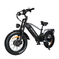 [EU DIRECT] BAOLUJIE DP2011 Elektrische Fiets 48V 20AH Batterij 1000W*2 Dual Motors Aanbevolen Topsnelheid 25KM/U 20*4.0