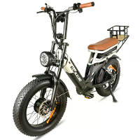 [EU DIRECT] BAOLUJIE DP2033 Elektrische Fiets 48V 30AH Batterij 1000W*2 Dubbele Motoren 20 inch Banden 90 100KM Maximaal