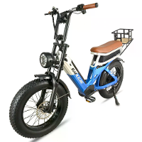 [EU DIRECT] BAOLUJIE DP2033 Elektrische Fiets 48V 30AH Batterij 1000W*2 Dubbele Motoren Aanbevolen Topsnelheid 25KM/H 20