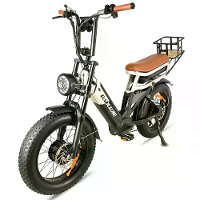 [EU DIRECT] BAOLUJIE DP2034 Elektrische Fiets 48V 30AH Batterij 1000W*2 Dubbele Motoren 20inch Banden 90 100KM Max. Kilo