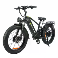 [EU DIRECT] BAOLUJIE DP2401 Elektrische Fiets 48V 20AH Batterij 1000W*2 Dual Motors Aanbevolen Topsnelheid 25KM/H 24*4.0