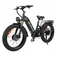[EU DIRECT] BAOLUJIE DP2402 Elektrieke Fiets 48V 20AH Batterij 1000W*2 Dualmotoren Aanbevolen Topsnelheid 25KM/H 24*4.0I