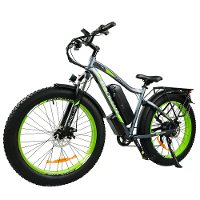 [EU DIRECT] BAOLUJIE DP2619 Elektrische Fiets 48V 13AH Batterij 750W Motor 26*4.0Inch Banden 35 45KM Max Kilometerstand