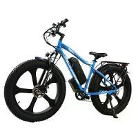 [EU DIRECT] BAOLUJIE DP2620 Elektrische Fiets 48V 13AH Accu 500W Motor 26*4.0Inch Banden 40 50KM Maximaal Bereik 120KG M