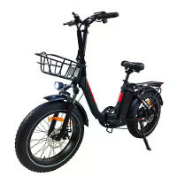 [EU DIRECT] BAOLUJIE DZ 2030 Elektrische Fiets 48V 13AH Accu 500W Motor 20*4.0Inch Banden 35 45KM Actieradius 150KG Maxi