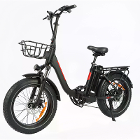 [EU DIRECT] BAOLUJIE DZ 2030 Elektrische Fiets 48V 13AH Batterij 750W Motor Aanbevolen Topsnelheid 25KM/H 20*4.0Inch Ban
