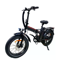 [EU DIRECT] BAOLUJIE DZ 2031 Elektrische Fiets 48V 13AH Batterij 500W Motor 20*4.0 Inch Banden 35 45KM Bereik 150KG Maxi