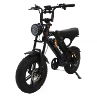 [EU Direct] BAOLUJIE F2 Elektrische Fiets, 48V 13Ah Accu, 48V 500W Motor, Piekvermogen 1000W, Aanbevolen Topsnelheid 25