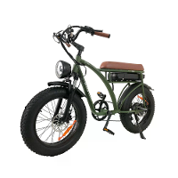 [EU DIRECT] BEZIOR XF001PLUS 48V 17.5Ah 1000W Elektrische fiets 20*4 Inch 100KM Bereik Maximale Belasting 120KG