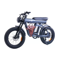 [EU DIRECT] BEZIOR XF006 Elektrische Fiets 48V 23.2AH 1200W Motor 20 inch Band 70KM Max Actieradius 150KG Max Lastcapaci