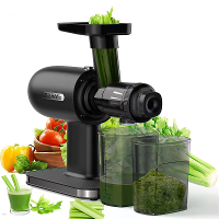 [EU Direct] BioloMix SJ 012 Koud Pers Juicer Tragere Masticerende Juicer Machines met Terugloopfunctie Hoge Sapopbrengst