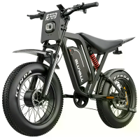 [EU DIRECT] Bluvall R700 D Elektrische Fiets 52V 30AH Batterij 1000W*2 Dubbelmotor Pie k vermogen 1500W*2 Aanbevolen Top