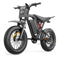 [EU DIRECT] Bluvall R700 Elektrische Dirtbike 48V 20Ah Batterij 1000W Motor Piekmacht 1500W Aanbevolen Topsnelheid 25KM/