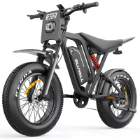 [EU DIRECT] Bluvall R700 elektrische dirtbike 52V 25Ah batterij 1000W motor piekvermogen 1500W aanbevolen topsnelheid 25