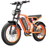 [EU DIRECT] Bluvall Su8 Elektrische Fiets 52V 20Ah Batterij 1000W Motor Piekvermogen 1500W Aanbevolen Topsnelheid 25 KM/