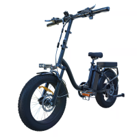 [EU DIRECT] Bluvall Z01 Elektrische fiets 36V 13Ah batterij 250W motor Aanbevolen topsnelheid 25 KM/U 20*4.0 Inch vette