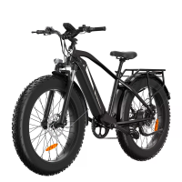 [EU DIRECT] Bodywel D9 Elektrische fiets 48V 13.5Ah 250W (Piek 750W) BAFANG Motor aanbevolen topsnelheid 25KM/H 26 inch