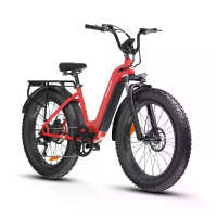[EU DIRECT] Bodywel D9 Elektrische Fiets 48V 15Ah 250W (Piek 750W) BAFANG Motor Geadviseerde Topsnelheid 25KM/U 26 Inch