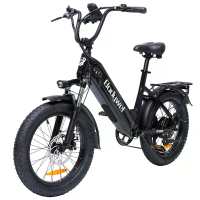 [EU DIRECT] Bodywel F20 Elektrische fiets 48V 15.6Ah 250W (Piek 1500W) Motor Aangeraden Top Snelheid 25KM/U Voorraadmaat