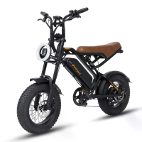 [EU DIRECT] Bodywel M16 Elektrische fiets 48V 13,5Ah 250W (Piek 500W) Motor Aangeraden maximale snelheid 25KM/H 16 inch