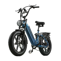 [EU DIRECT] BURCHDA AZ20 Elektrische Fiets 48V 20Ah Batterij 1000W Motor aanbevolen Topsnelheid 25KM/H 20*4.0Inch Vette