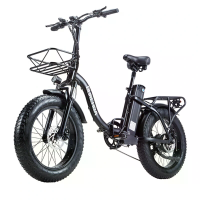[EU Direct] BURCHDA R8S PRO Elektrische Fiets 48V 15Ah Batterij 800W Motor 20*4.0 Inch Banden 50 60KM Maximale Kilometer