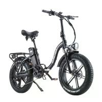 [EU DIRECT] BURCHDA R8WS Elektrische fiets 48V 20Ah batterij 800W motor Aanbevolen maximale snelheid 25 KM/H 20x4.0 Inch