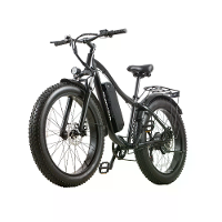 [EU DIRECT] BURCHDA RX02 Elektrische Fiets 48V 16Ah Batterij 1000W Motor 26 inch Banden 70 80KM Actieradius 200KG Max La