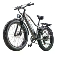 [EU DIRECT] BURCHDA RX20 Elektrische Fiets 48V 20AH Batterij 1000W Motor 26*4.0Inch Banden 70 80KM Max Kilometerstand 20