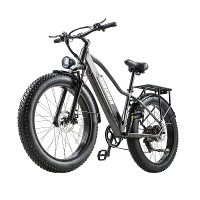 [EU DIRECT] BURCHDA RX20 Elektrische Fiets 48V 20AH Batterij 1000W Motor Aanbevolen Topsnelheid 25KM/H 26*4.0 Inch Bande