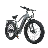 [EU DIRECT] BURCHDA RX50 Elektrische Fiets 48V 17.5AH Batterij 1000W Motor 26*4.0Inch Banden 60 70KM Actieradius 180KG M