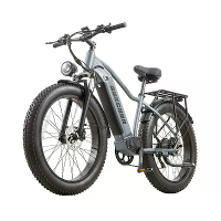 [EU DIRECT] BURCHDA RX50 Elektrische fiets 48V 20Ah accu 1000W motor Aangeraden topsnelheid 25 KM/H 26*4.0 Inch banden 7