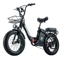 [EU DIRECT] BURCHDA U8 Elektrische Fiets 48V 31.5AH Batterij 1000W Motor Aanbevolen Topsnelheid 25KM/H 20inch Banden 200