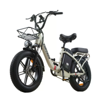 [EU Direct] BURCHDA U8 Elektrische fiets geïntegreerde wielen 48V 31,5Ah batterij 500W motor Aanbevolen topsnelheid 25KM
