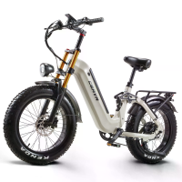 [EU Direct] CEAYA A20PRO Elektrieke Fiets 48V 20Ah Accu 500W Nominale Vermogen 1000W Piekvermogen Motor 25Km/h Topsnelhe