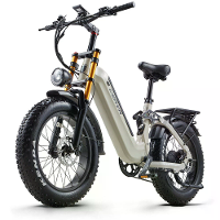 [EU DIRECT] CEAYA A20pro Elektrische Fiets 48V 20Ah 500W 20in Vouwfiets 70 100KM Bereik Schijfrem 150KG Max Laadgewicht