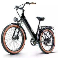 [EU DIRECT] CEAYA AZ26 Elektrische Fiets 48V 20AH 750W Motor 26inch Banden 60 70KM Max. Actieradius 150KG Max. Laadvermo