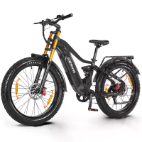[EU Direct] CEAYA M500 2026 Elektrische Fiets 48V 20AH LG Cel Batterij 500W Nominale Vermogen 1000W Piekvermogen Motorol