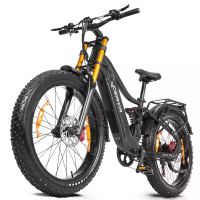 [EU Direct] Ceaya M500 elektrische fiets 48V 20Ah LGcell batterij 1000W piekvermogen motor aanbevolen topsnelheid 25 KM/