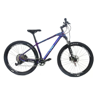[EU DIRECT] CFM 29 Inch Carbon Fiber Fiets 12 Snelheden Racing Fiets Met Schijfremmen En Thru Axle Lichtgewicht Prestati