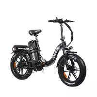 [EU DIRECT] ChamRider DT450 Elektrische Fiets 48V 50Ah Batterij 750W Motor 20inch Fat Tires 250KM Actieradius 180KG Max