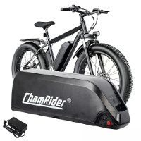 [EU Direct] ChamRider Hailong B 36V 22.5Ah 810Wh Downtube Elektrische Fietsbatterij   Aangedreven door 4500mAh 21700 Li 
