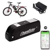 [EU Direct] ChamRider Hailong Max 48V 24Ah 1152Wh Downtube Elektrische Fietsaccu   Aangedreven door Premium 4800mAh 2170