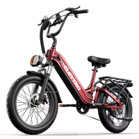 [EU DIRECT] CLEYTRO XC20 Elektrische fiets 48V 15.6Ah 500W motor Aanbevolen topsnelheid 25KM/U All terrain dikke band 20